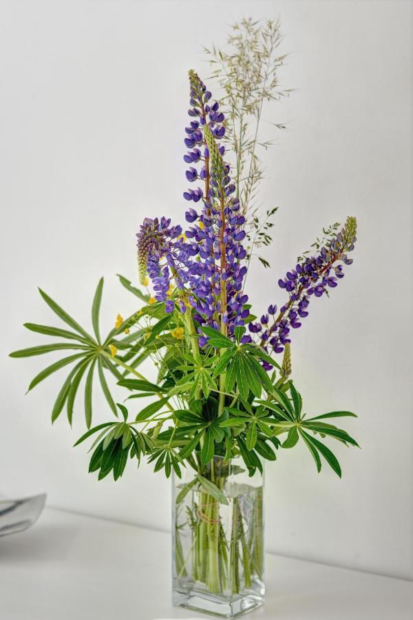 Apartment Tadeas *