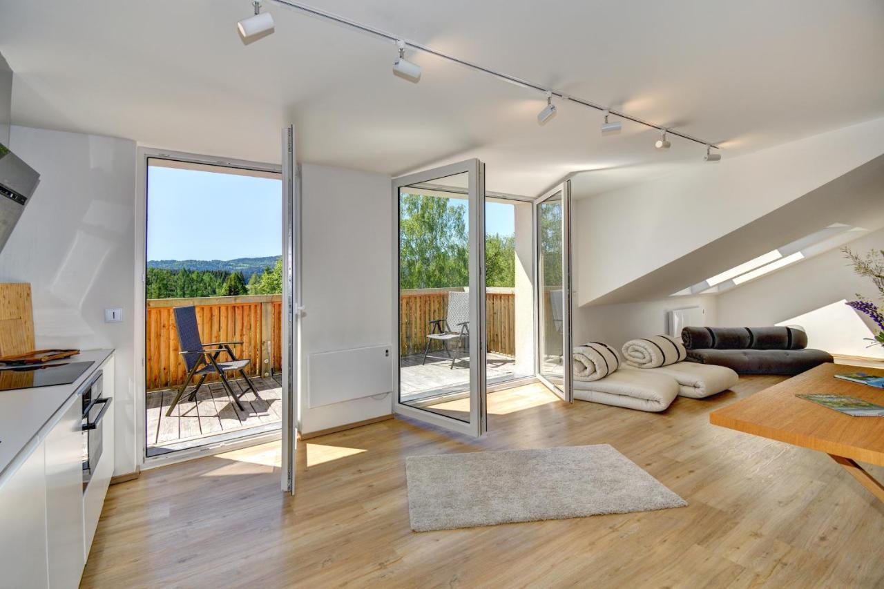 Tadeas Apartment Stozec